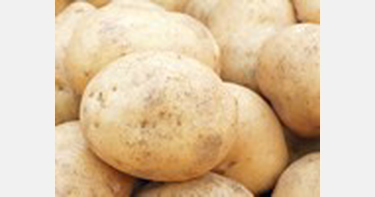New Zealand potato prices reach record high as COVID19 affects industry