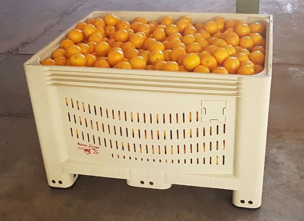 Mpact’s new fruit bin design allows better fruit protection and easier