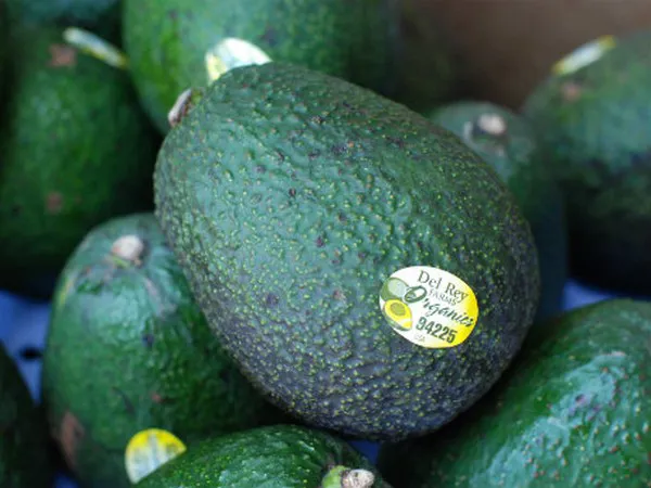 Strong demand for bagged California avocados
