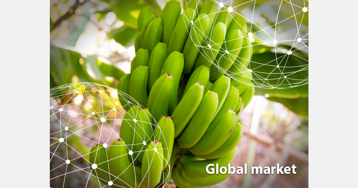 OVERVIEW GLOBAL BANANA MARKET