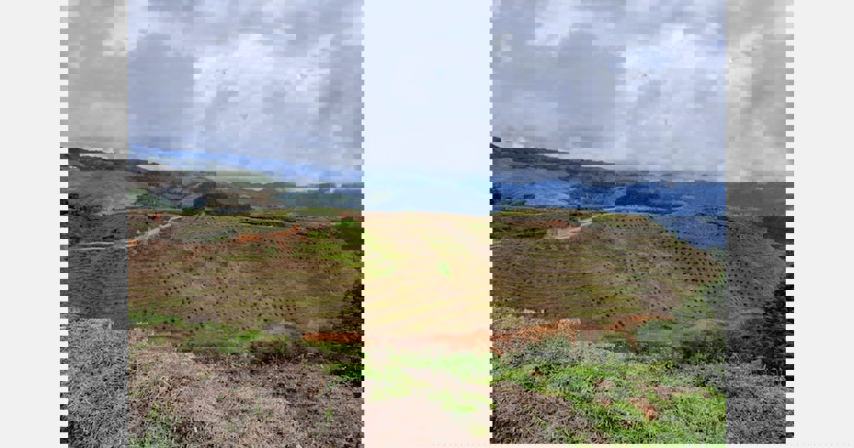 US avocado distributor adds Colombia to avocado growing regions