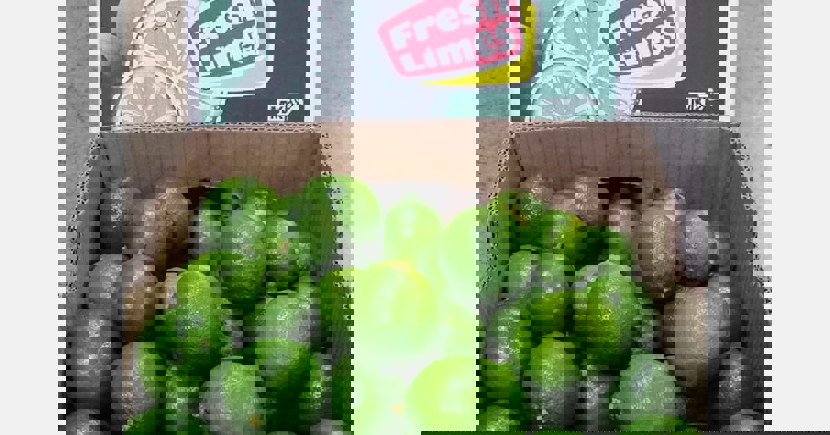 High prices for number one quality limes in US market