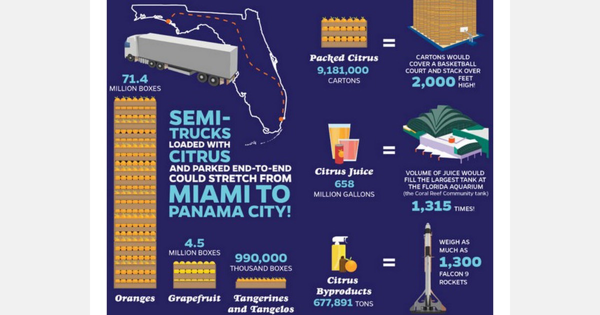 Economic contributions of the Florida citrus industry in 201819