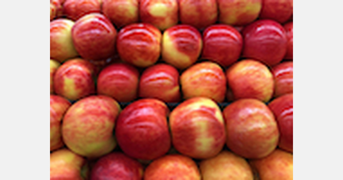 Michigan apple growers expect to harvest 22.5 million bushels in 2020