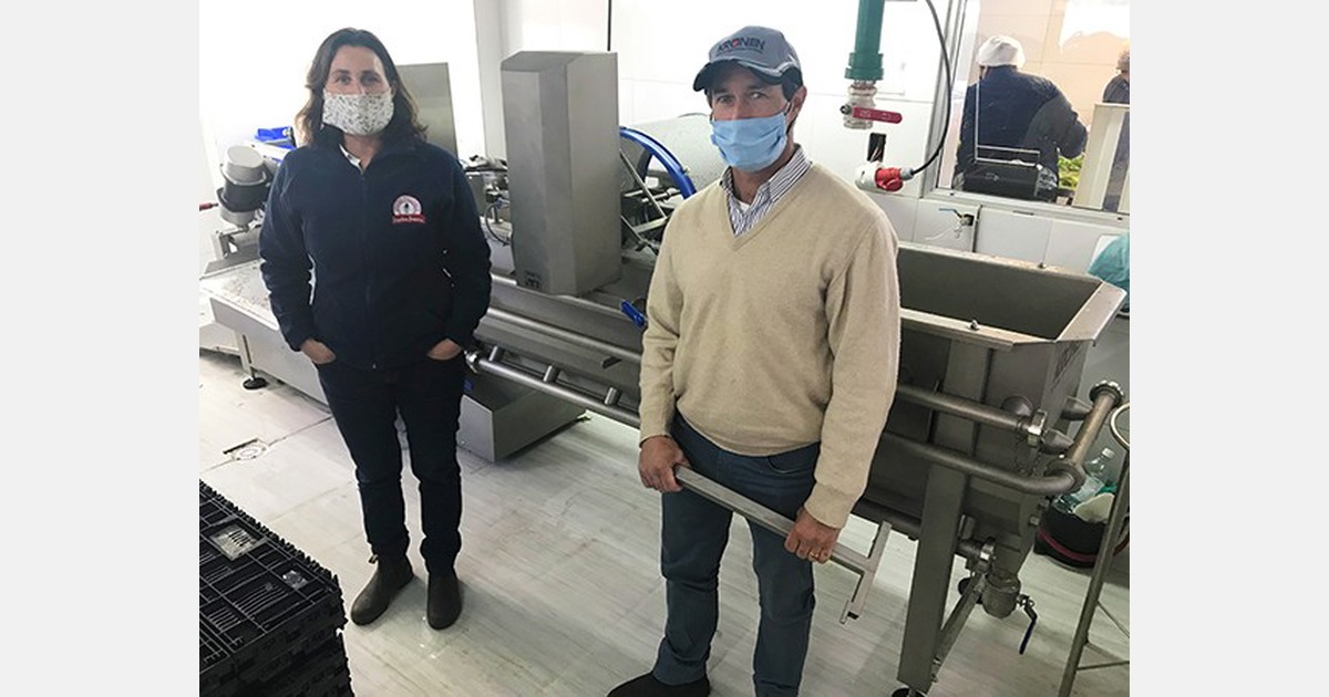 Increasing production of readytoeat fresh herbs and salads at Granja Mallorca