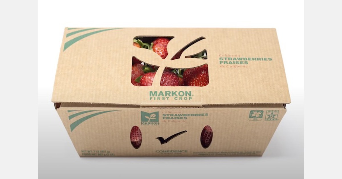 Fully recyclable cardboard clamshells for strawberries launched