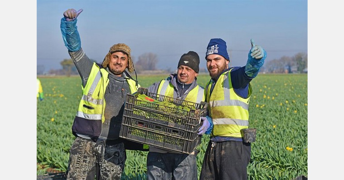 NFU says urgent action is needed to implement seasonal workers scheme