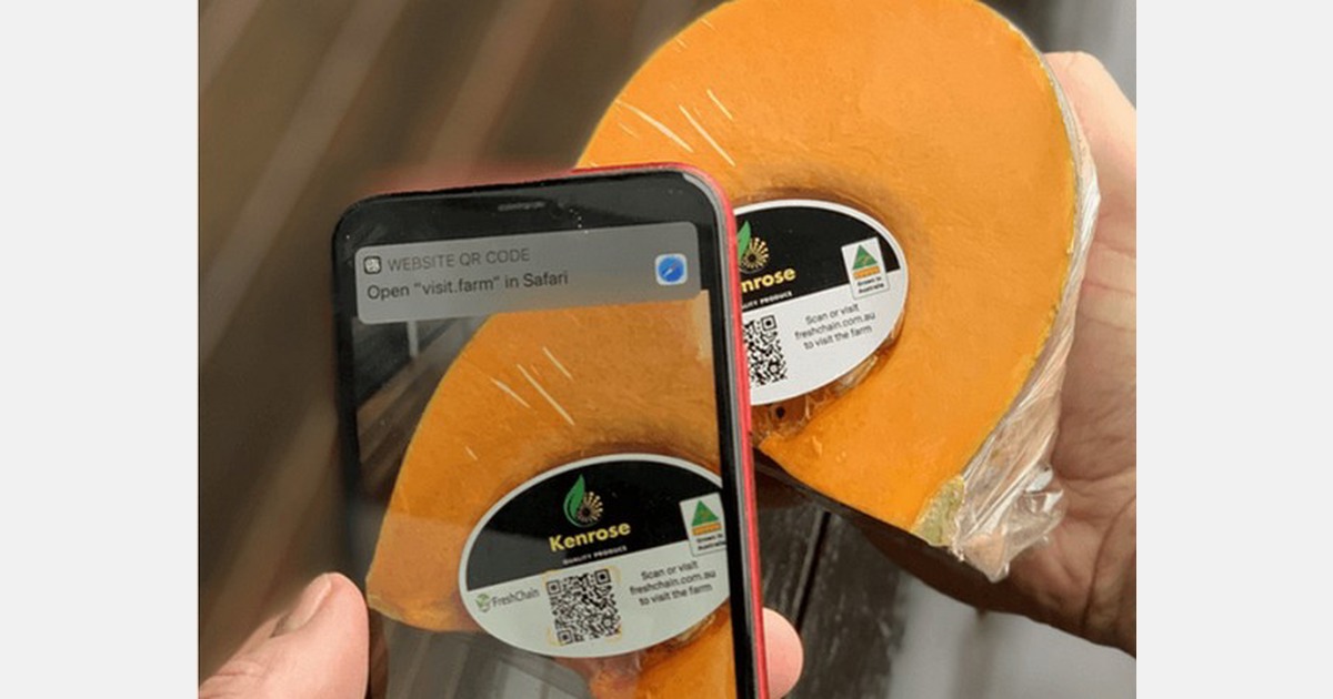 FreshChain leading a pilot traceability project