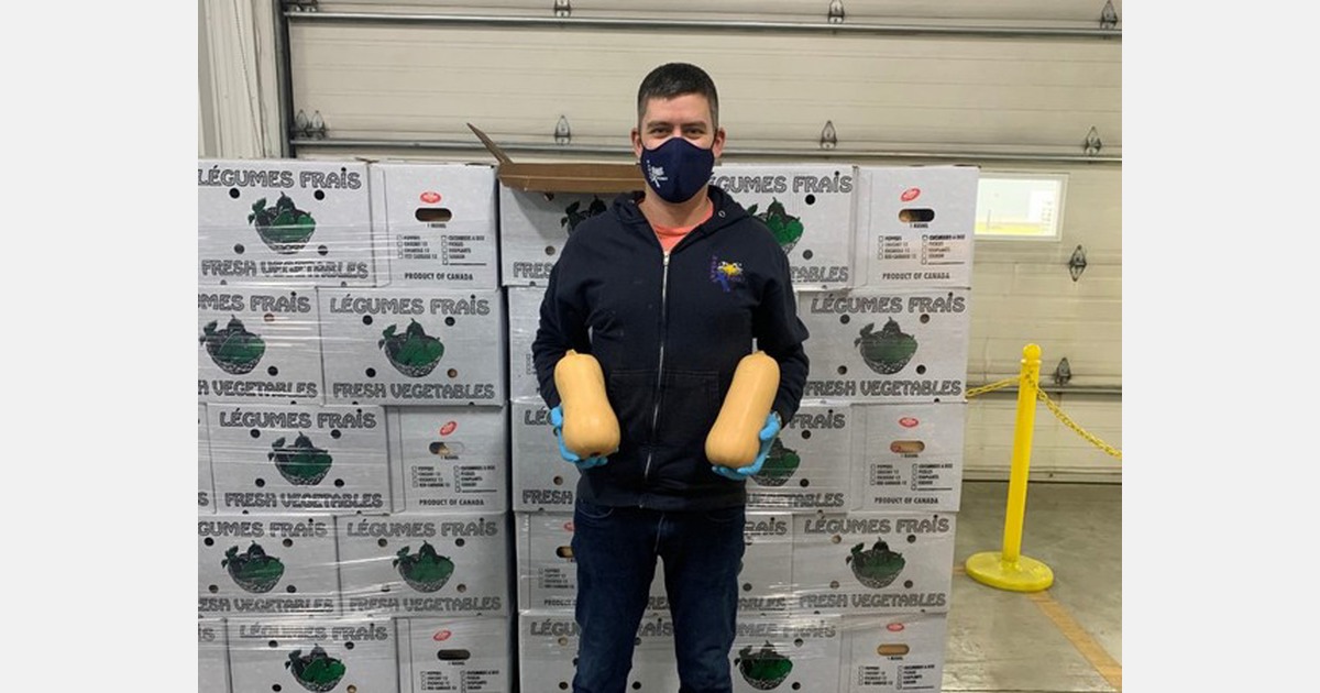 Sizeable drop in Quebec squash supplies