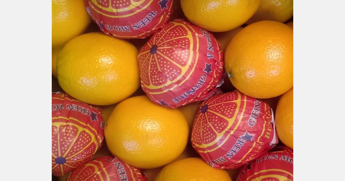 Egyptian citrus season started off strong