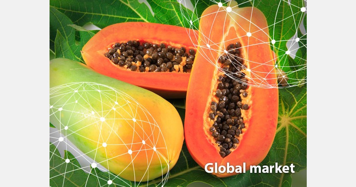 OVERVIEW GLOBAL PAPAYA MARKET