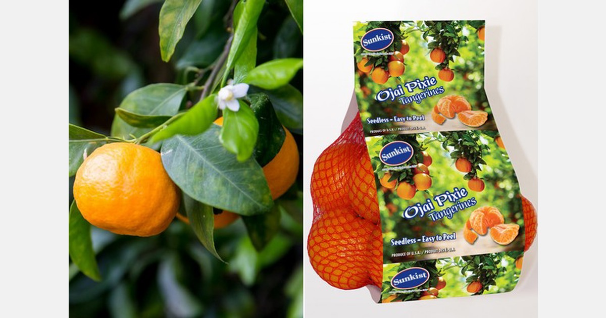 Ojai Pixie tangerines available now for a limited time
