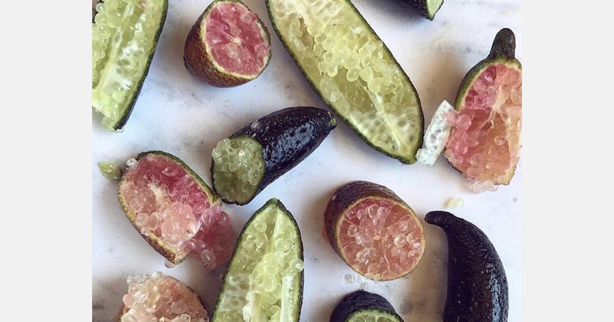 Volumes and colors continue to grow on California finger limes