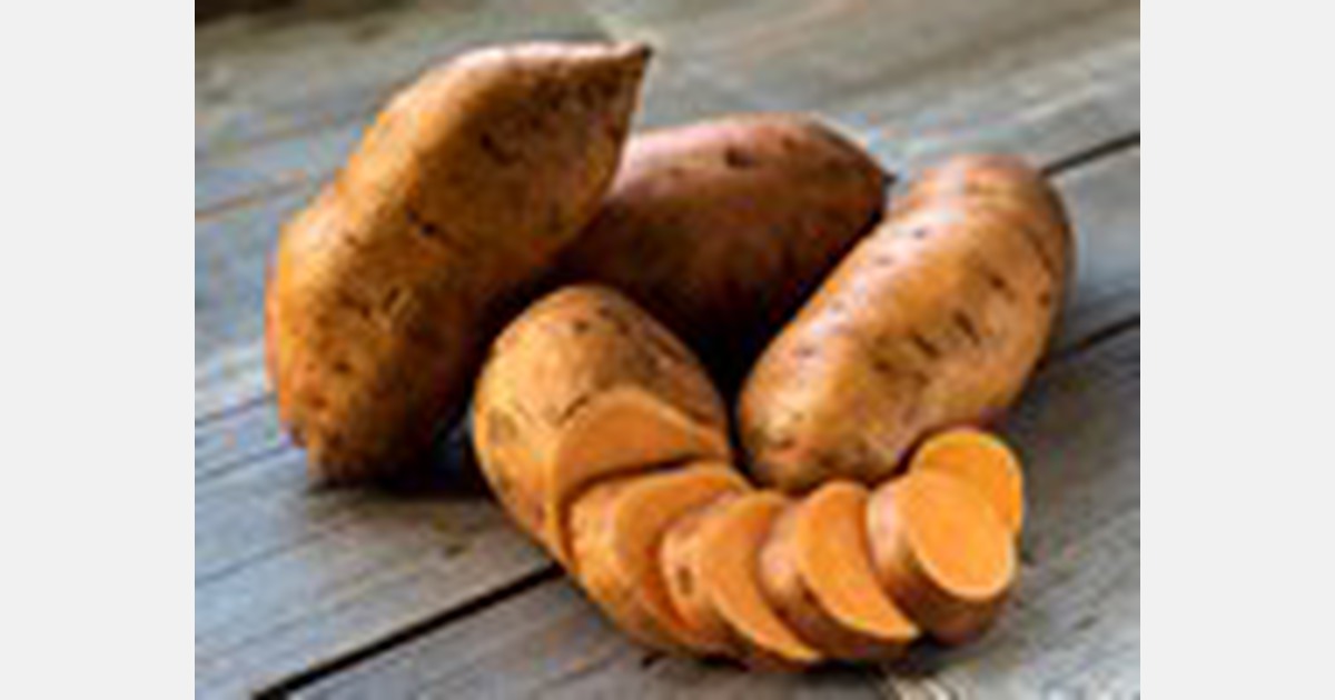 Ghana: Growers urged to switch to orange-fleshed sweet potatoes