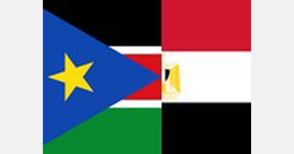 Egypt - South Sudan trade exchange at $707,000 during 2020