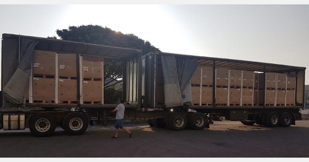 South Africa: northern citrus packhouses hope to resume Durban loading next week