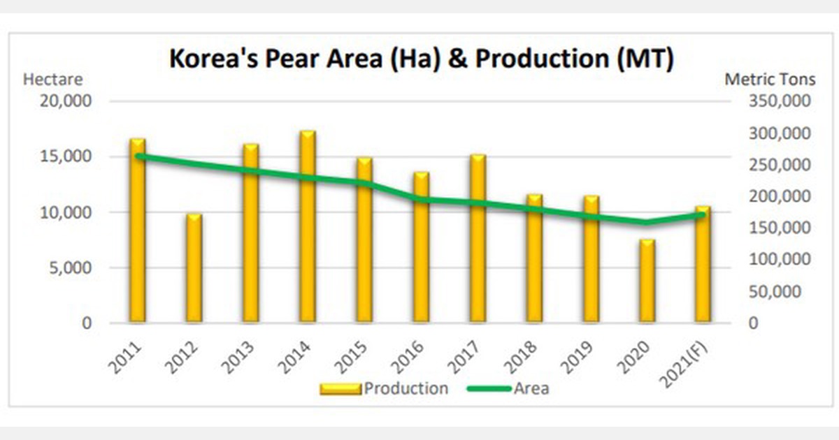 Korea’s 2021/22 pear production is projected to surge by nearly 40 percent