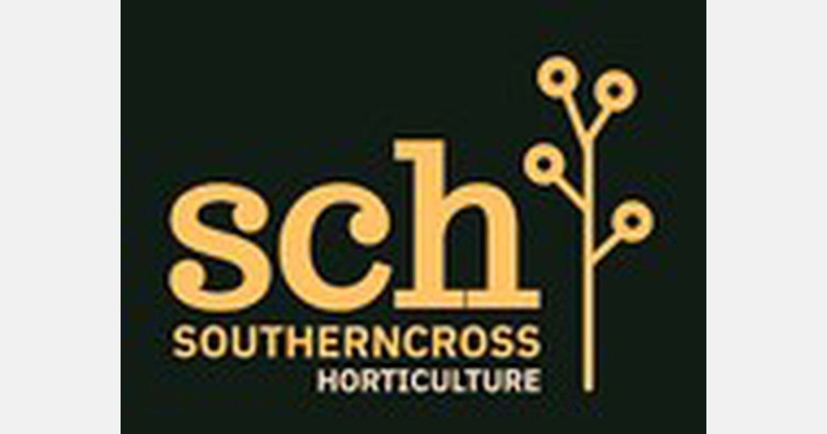 Southern Cross Horticulture seeks investors for new Bay of Plenty kiwifruit orchard