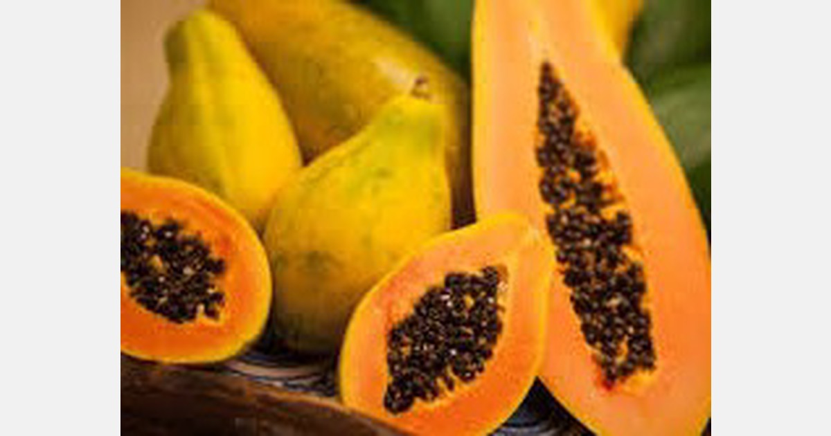 Brazil Papaya prices up as supply is tight