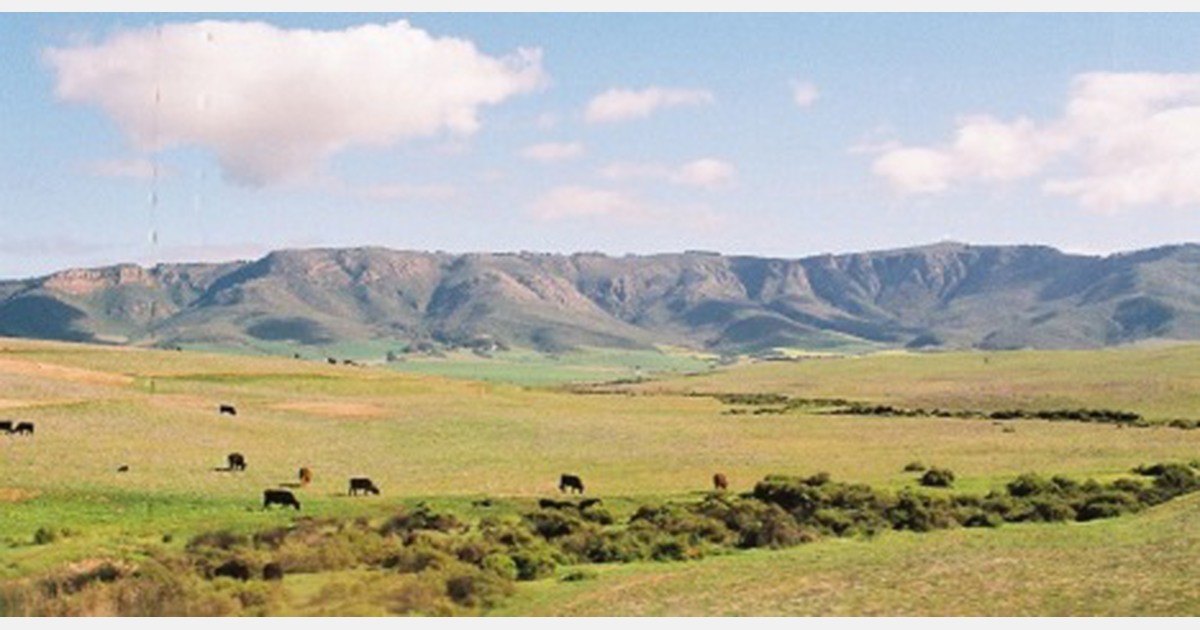 South Africa Land expropriation without compensation doesn't pass