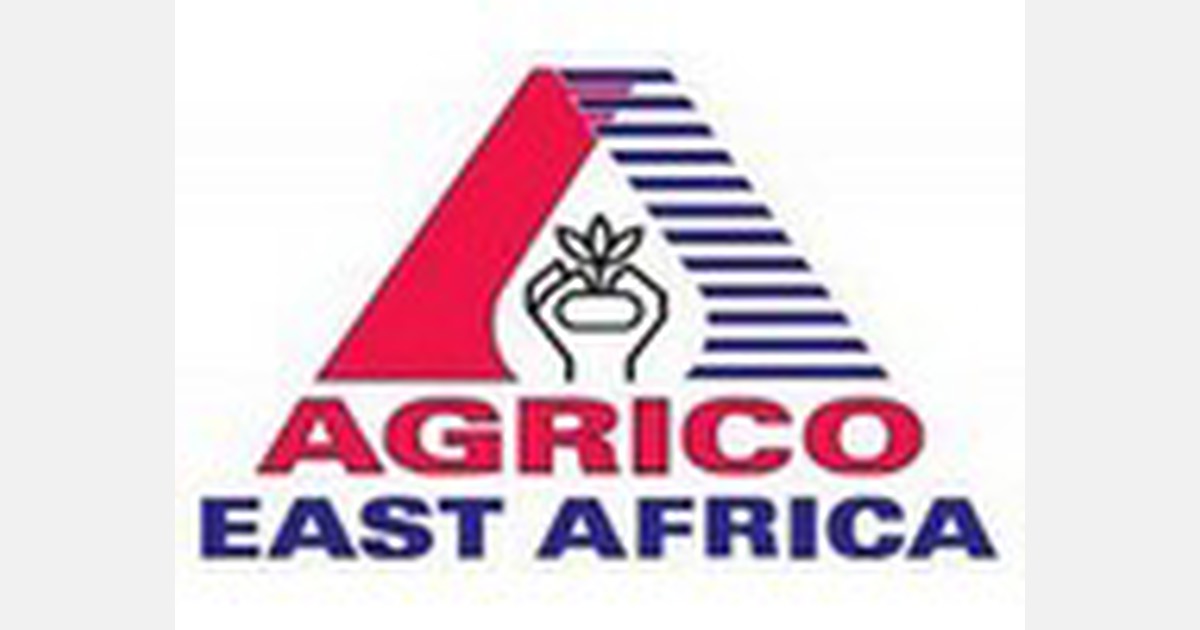 Kenyan potato seed company increases farm productivity with high-yield certified seeds