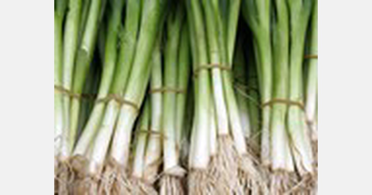 Egyptian cabinet denies exports of green onions contaminated with E. Coli