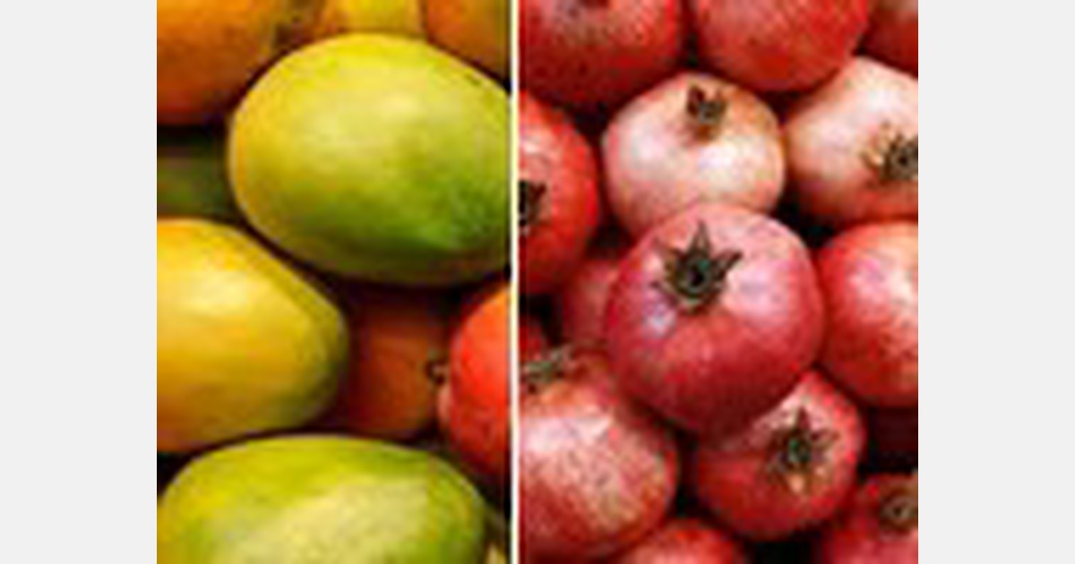 India: Mango and pomegranate exports to US to start from Jan-Feb 2022