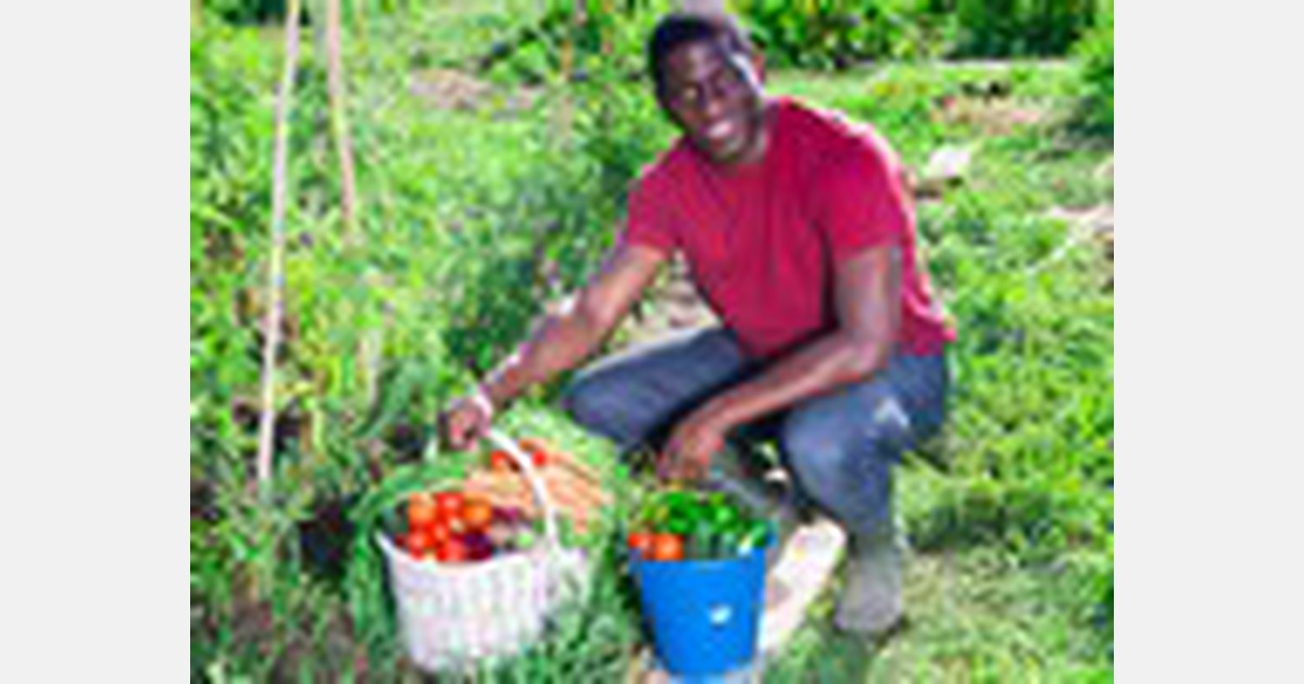 Kenyan grower groups claim they will block ban on pesticides