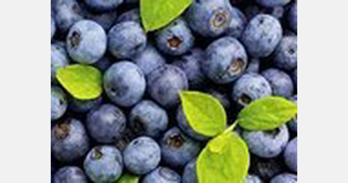 "We have shipped about 9% less fruit compared to last year" - FreshPlaza.com