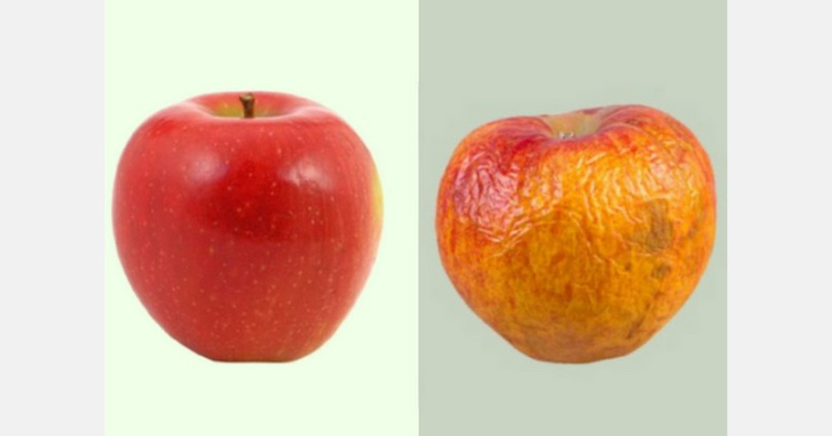 Fresh apples coated with Akorn Edible Coatings now available at leading