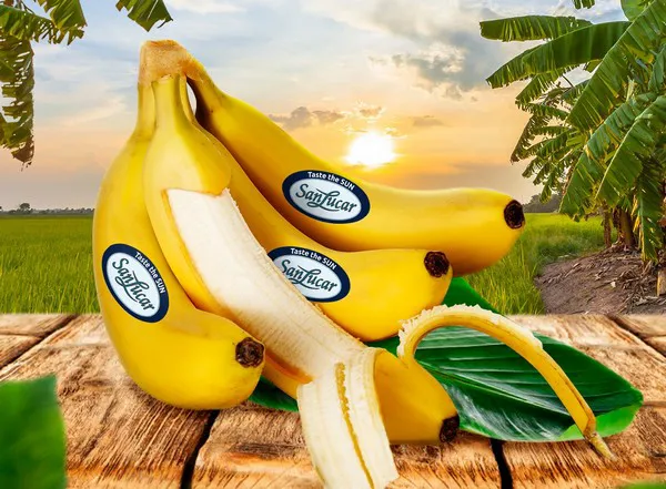 That's Bananas Premium