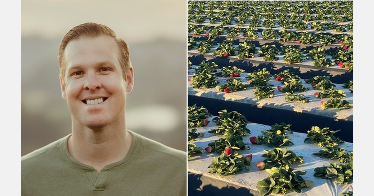 California strawberry growers hoping for more rain