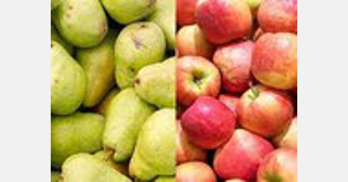 Distrito Federal inova na produção de maçã e pera