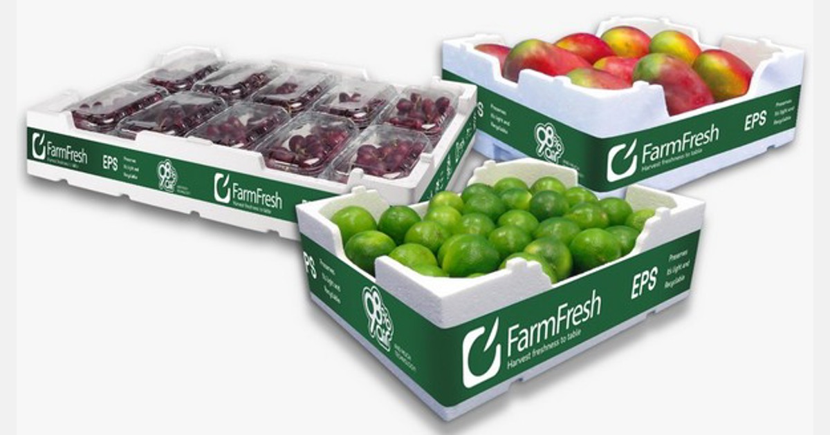 Caixas conservantes de exportação de frutas enviam produtos do Brasil para todo o mundo