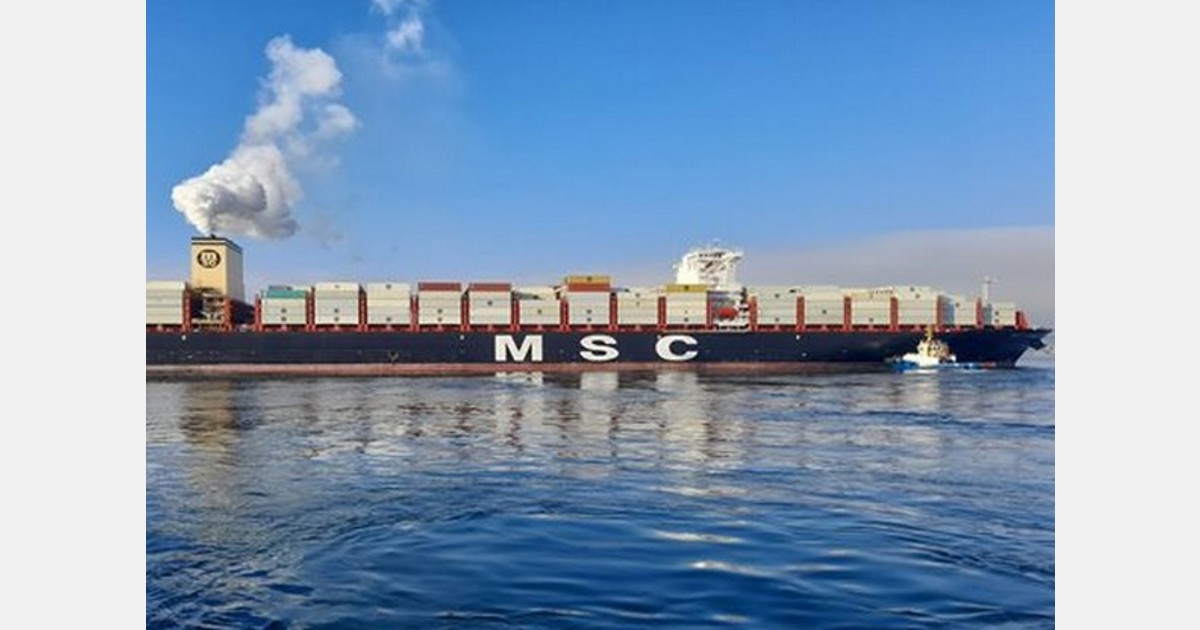 MSC ha establecido un récord en las exportaciones de Chile Reefer