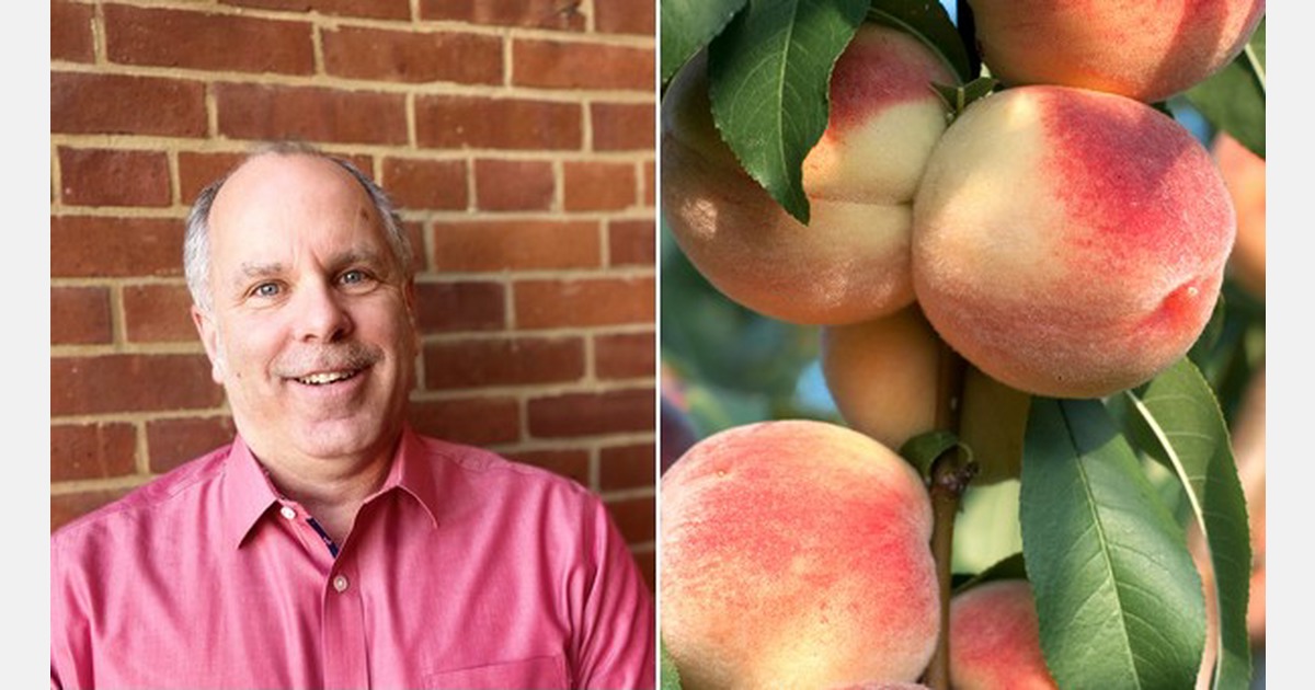 Southern peaches will start to arrive midMay