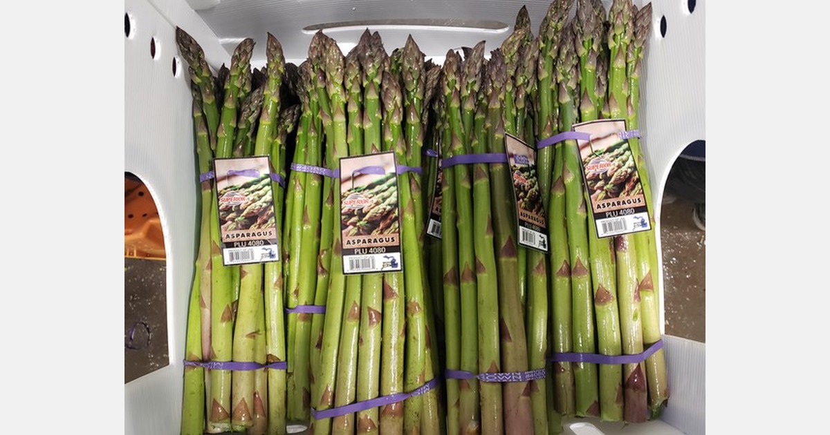 Michigan growers hope for longer 2022 asparagus season