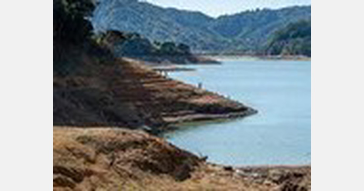 Drought in Auckland&rsquo;s rural south increases food prices