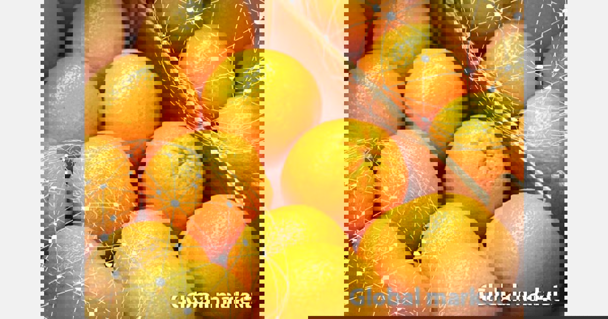 GLOBAL OVERVIEW ORANGES