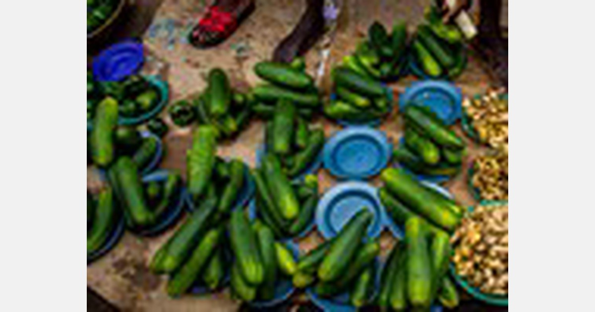 Nigerian produce experts criticize continued poor food handling