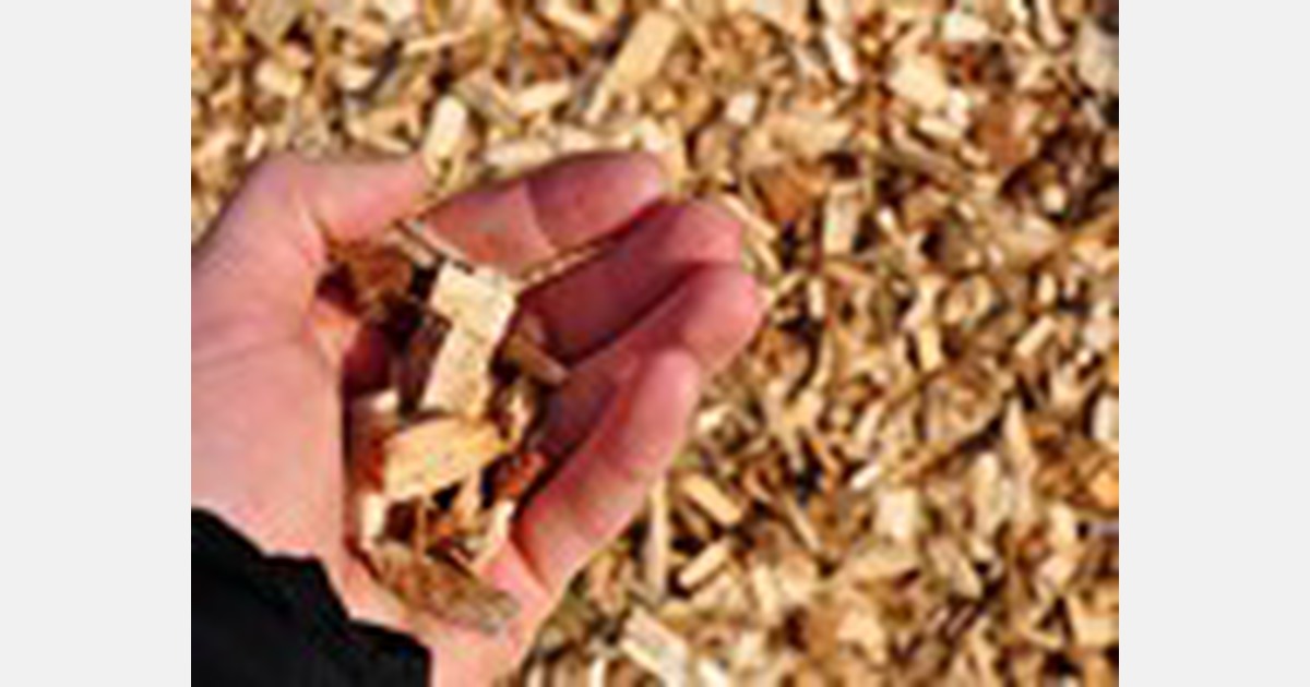 McCain Timaru potato chip production: Switch over from coal to woodchips