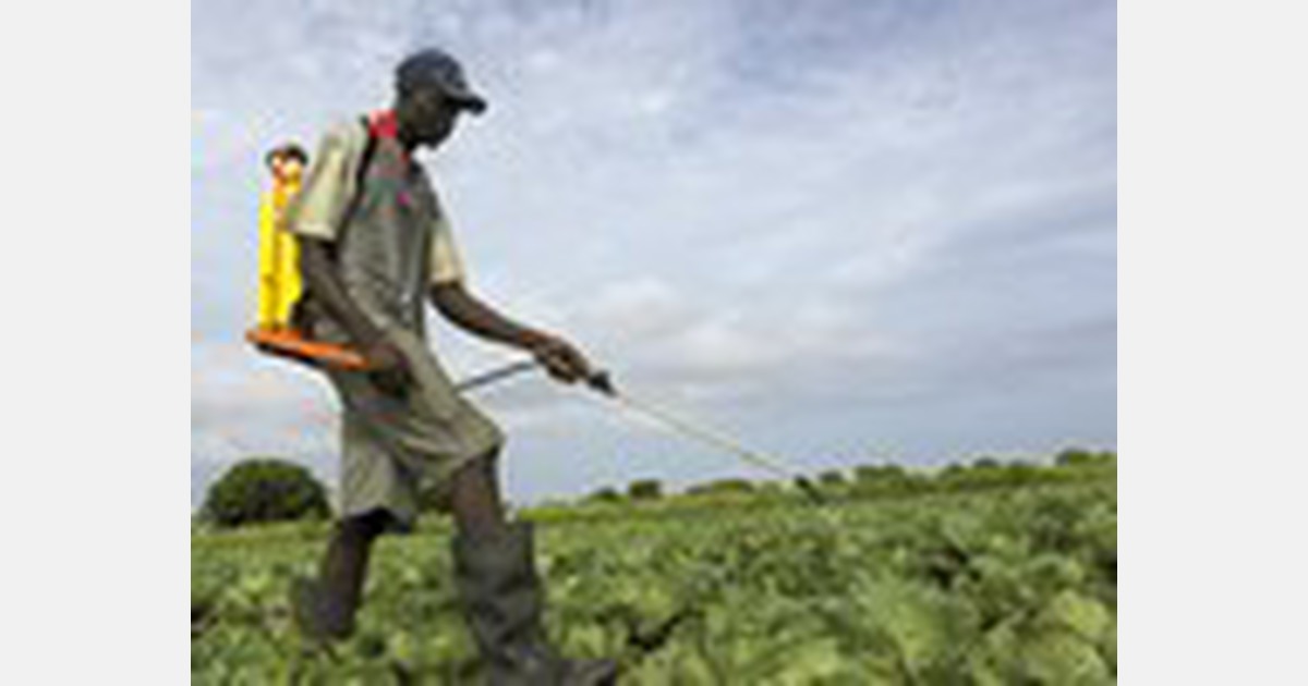 Many unapproved chemicals still in use in Ghanaian agriculture