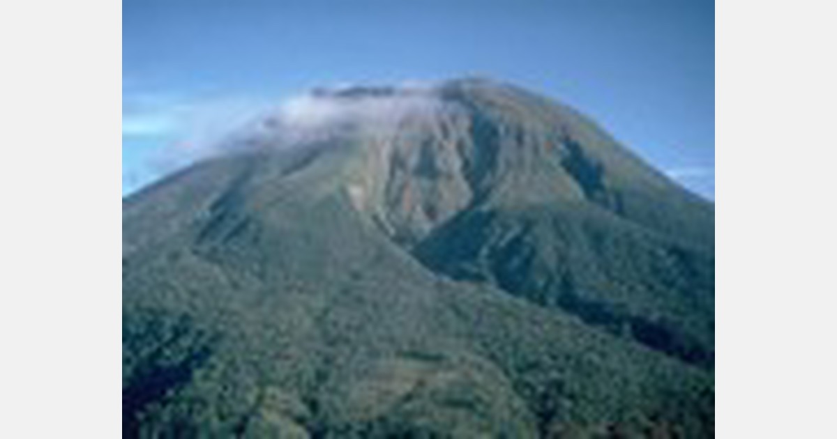 Agricultural losses from Mount Bulusan blast reach P13.6 mln