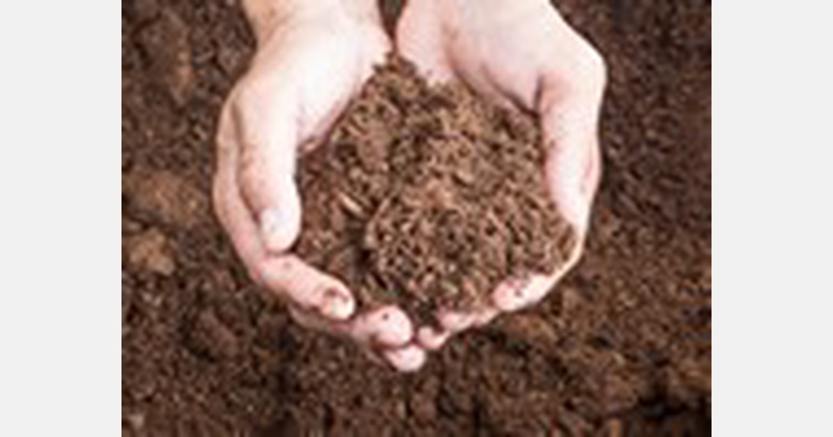 Приготовление грунта для рассады. Земля для рассады. Посев в грунт. Готовая земля для рассады. Грунт для растений.