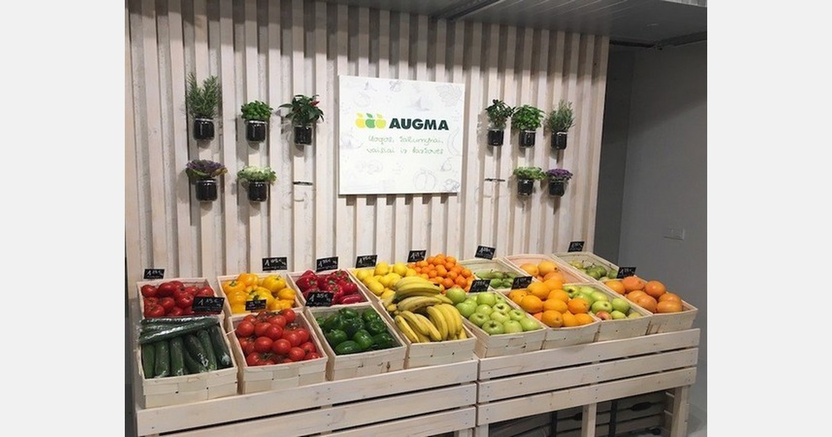 Baltijos šalyse populiarūs citrusiniai vaisiai iš Pietų Afrikos, Egipto, Maroko ir Argentinos.