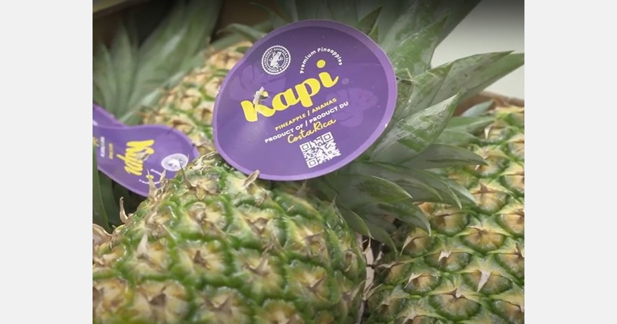 Tropical fruit brand looks to make major headway in U.S.