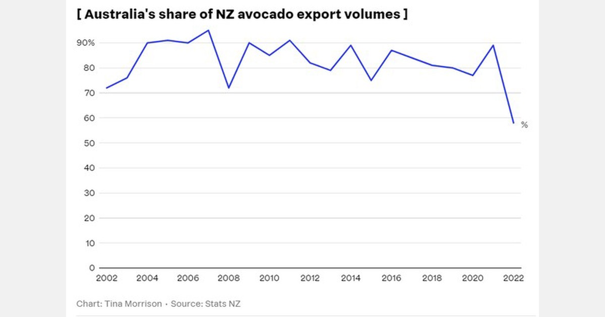 NZ avocado industry expects price drops as key Australian market is overflowing