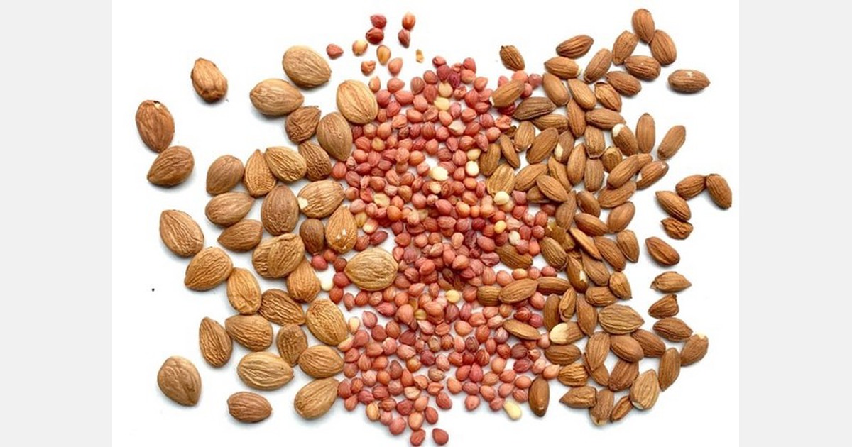 Desde huesos de frutas hasta comida deliciosa