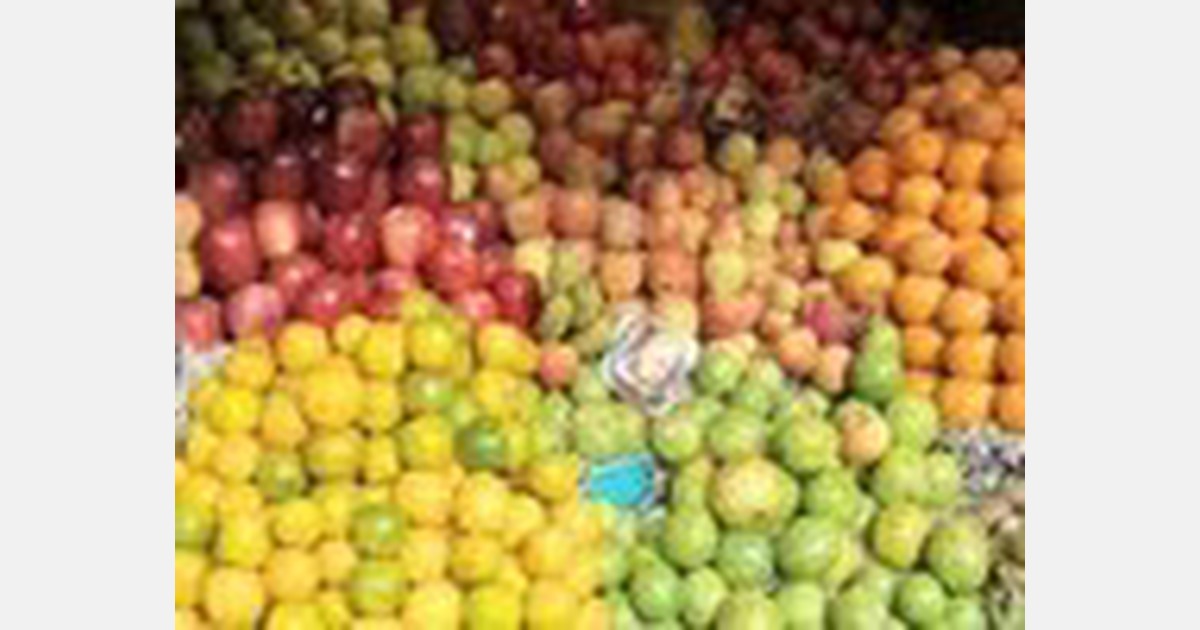 India: ₹13 bln available up for horticulture project Himachal Pradesh