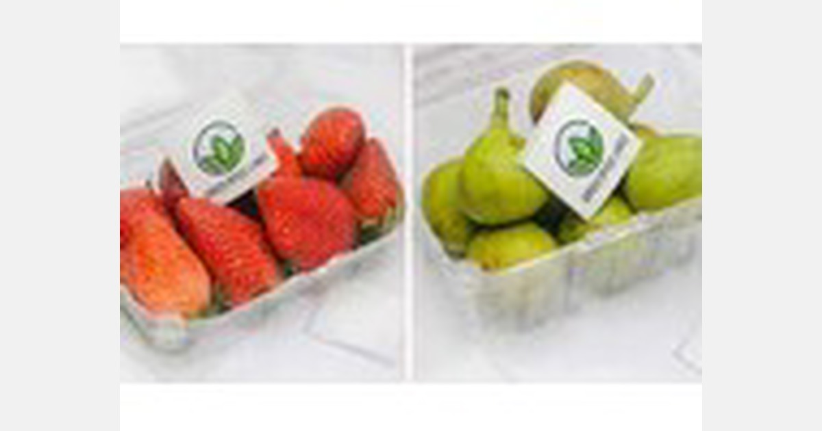 GreenPod Labs sachets for fruit and veg shelflife extension approved